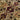 Alfombra Ornamento