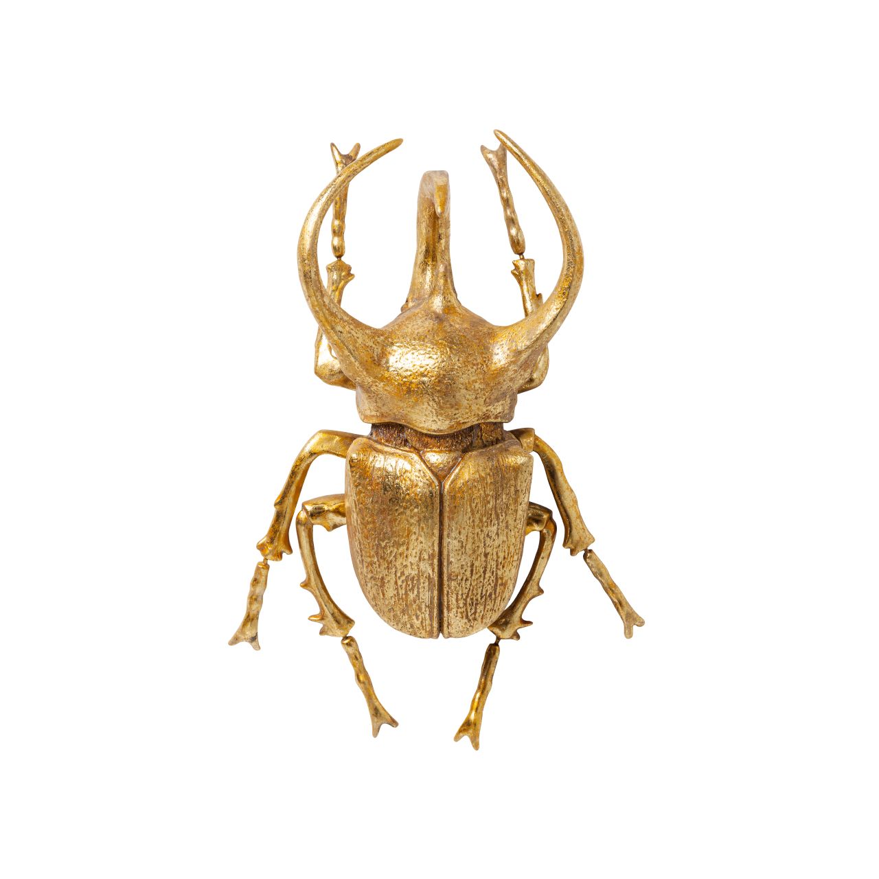 Objeto pared Atlas Beetle