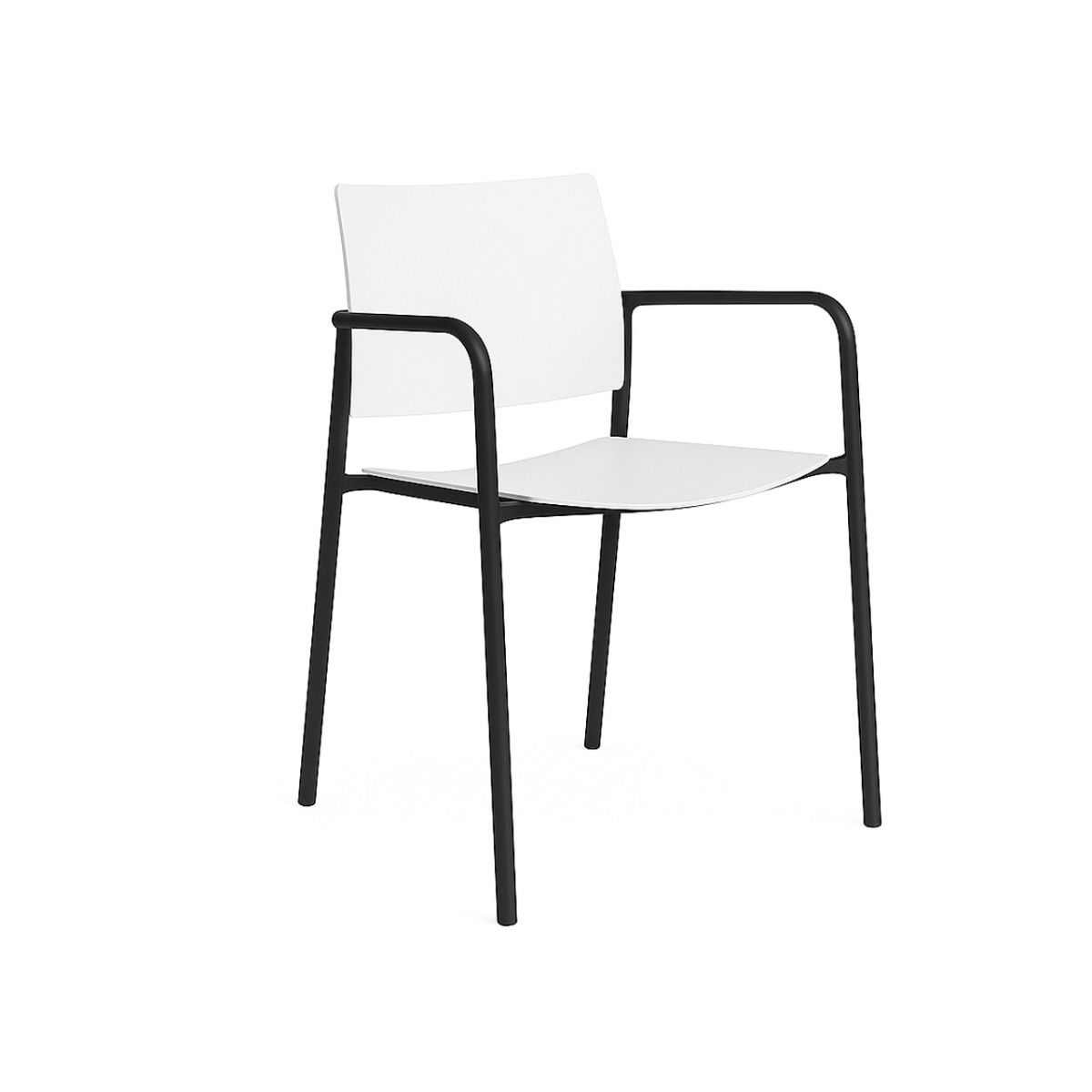 Silla visita Bio